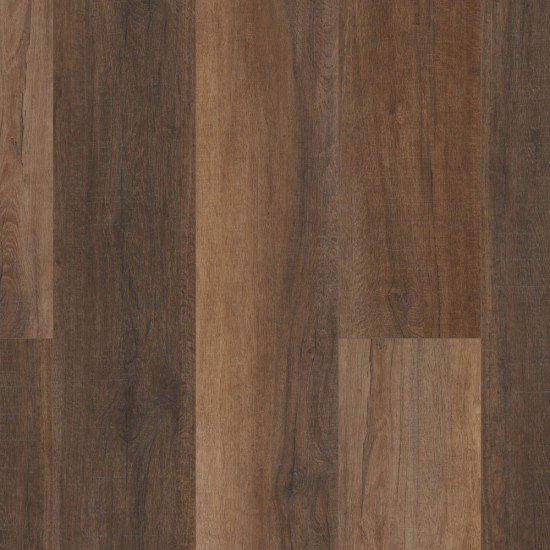 COREtec Pro Plus XL Enhanced HD - Cheshire Elm COREtec Pro Plus XL Enhanced HD - Cheshire Elm